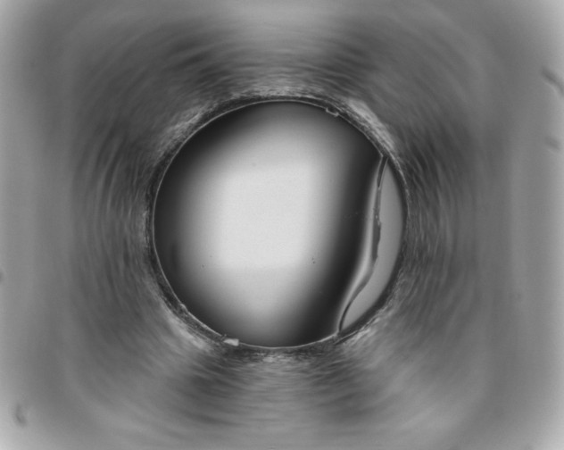 X0000096470441200802071900