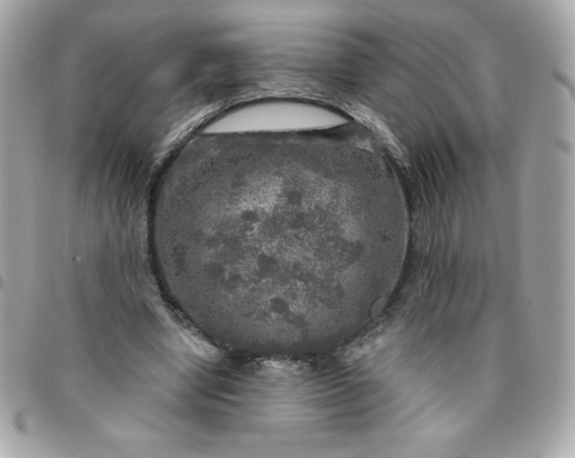 X0000096470442200802071900