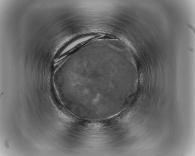 X0000096470444200802071900