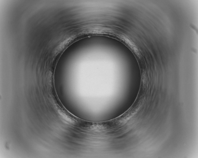 X0000096470445200802071900