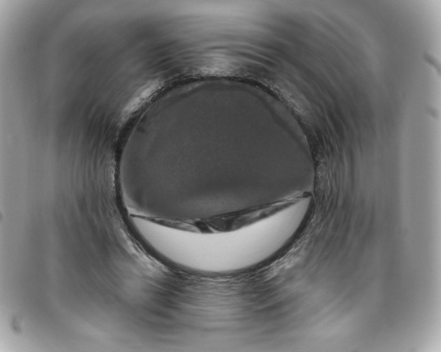 X0000096470446200802071900