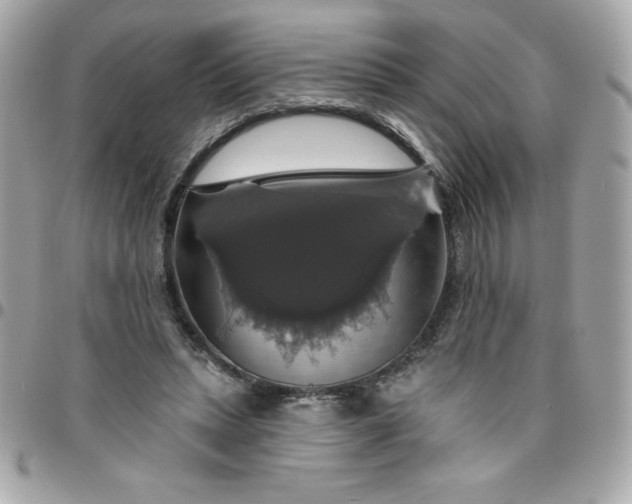 X0000096470447200802071900