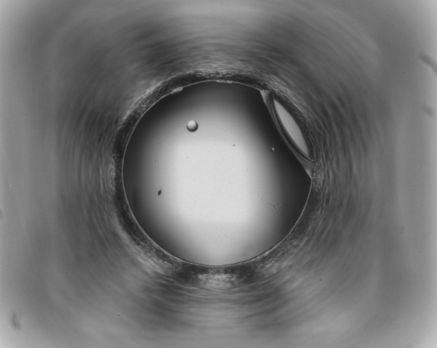 X0000096470448200802071900