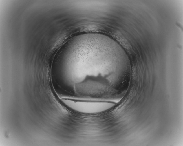 X0000096470449200802071900