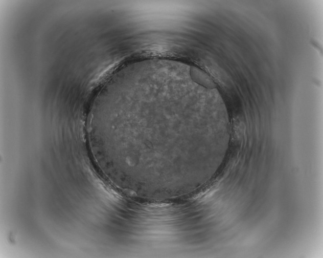 X0000096470450200802071900