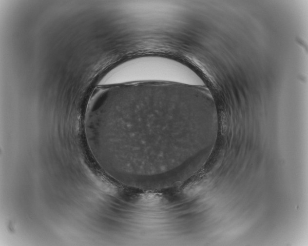 X0000096470451200802071900