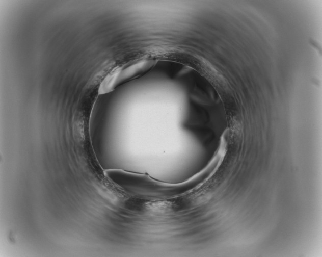 X0000096470452200802071900