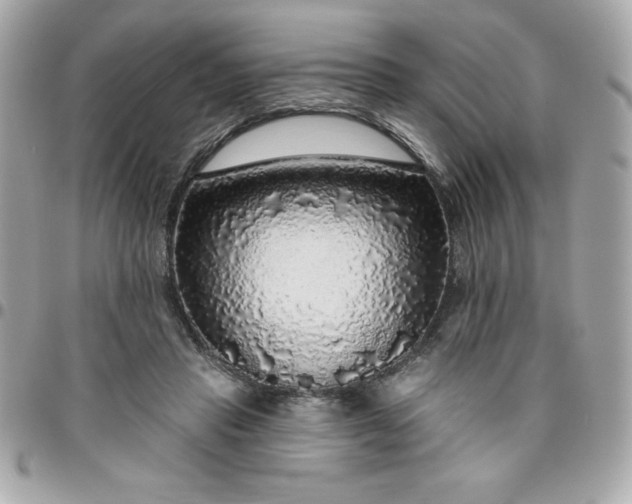 X0000096470453200802071900