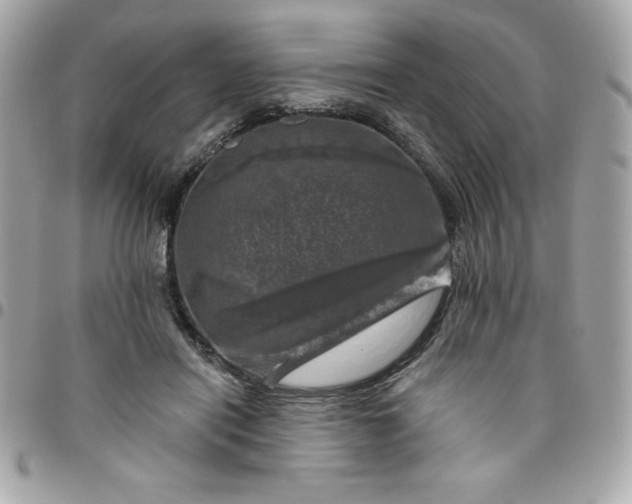 X0000096470454200802071900