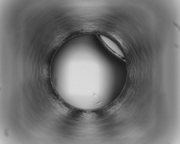 X0000096470455200802071900