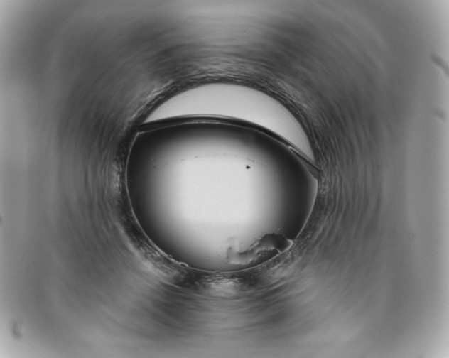 X0000096470456200802071900