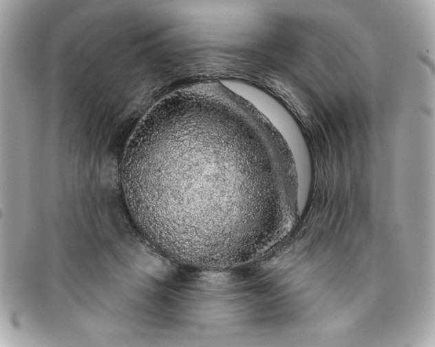 X0000096470457200802071900