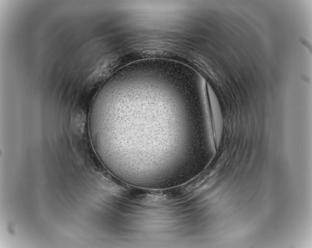 X0000096470458200802071900