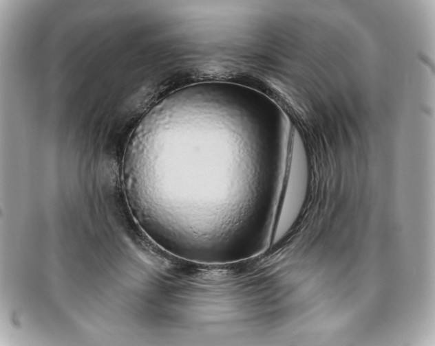 X0000096470459200802071900