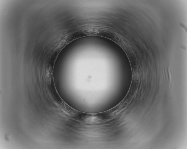 X0000096470460200802071900