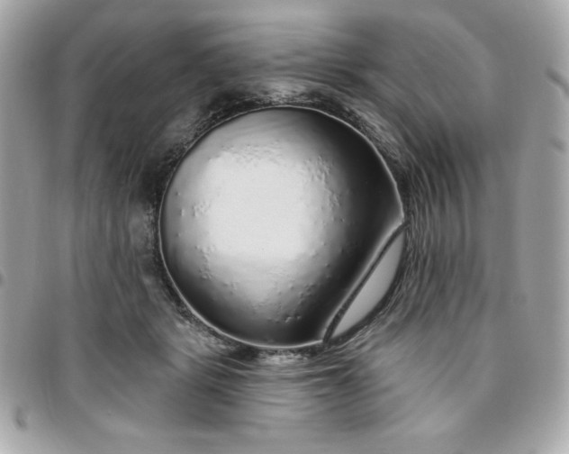 X0000096470461200802071900