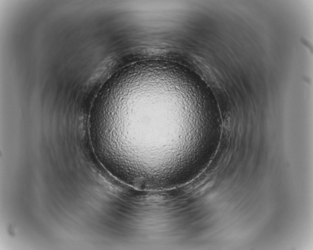 X0000096470462200802071900