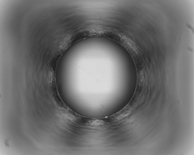 X0000096470463200802071900