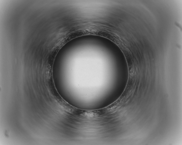 X0000096470464200802071900