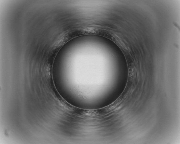 X0000096470466200802071900