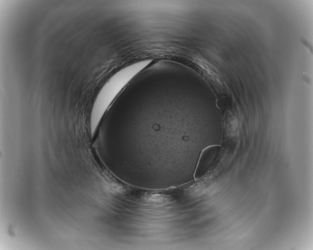 X0000096470467200802071900