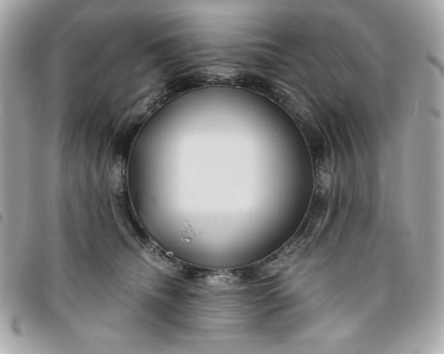 X0000096470468200802071900