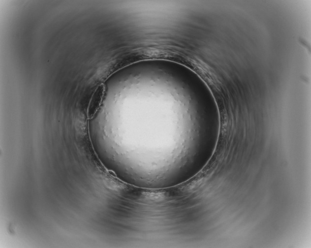 X0000096470469200802071900