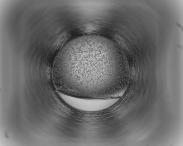 X0000096470470200802071900