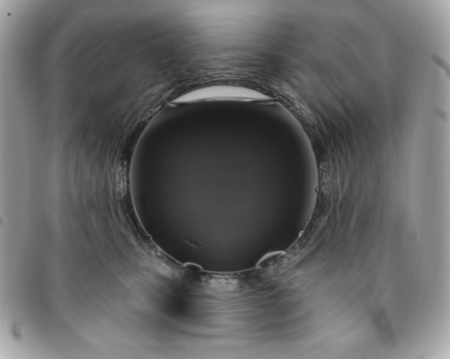 X0000096470471200802071900