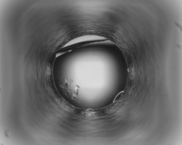 X0000096470472200802071900