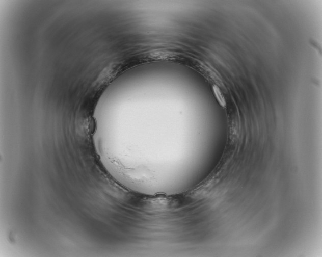 X0000096470473200802071900