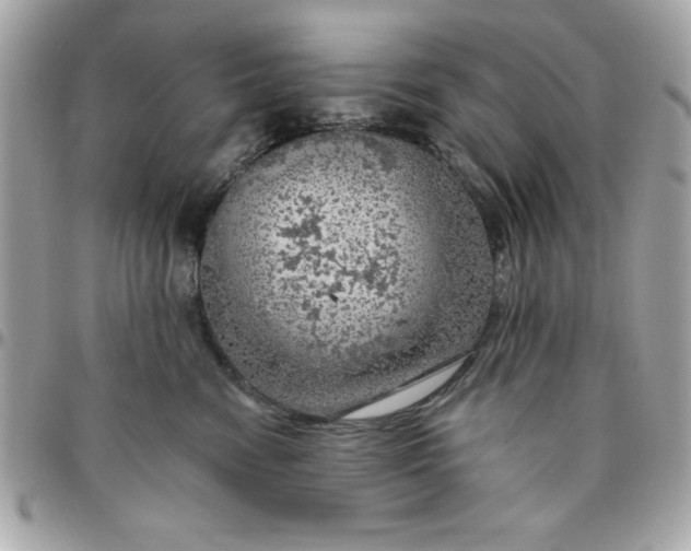 X0000096470474200802071900