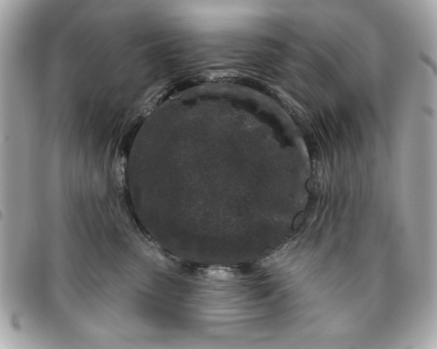 X0000096470475200802071900