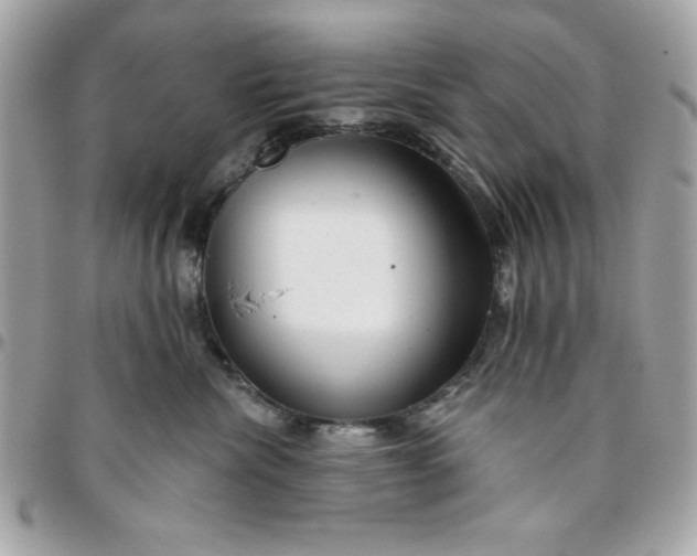 X0000096470476200802071900