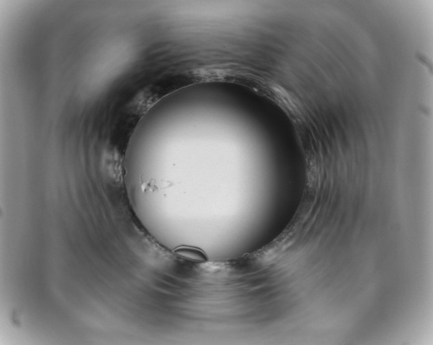 X0000096470477200802071900