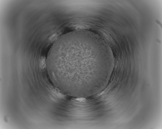 X0000096470478200802071900