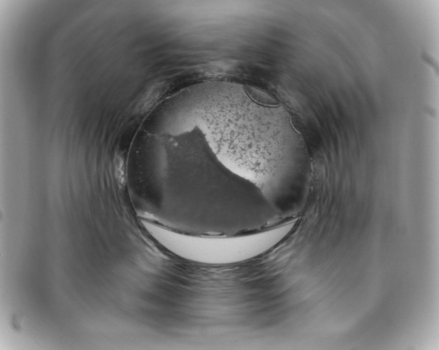 X0000096470479200802071900