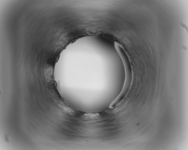 X0000096470480200802071900