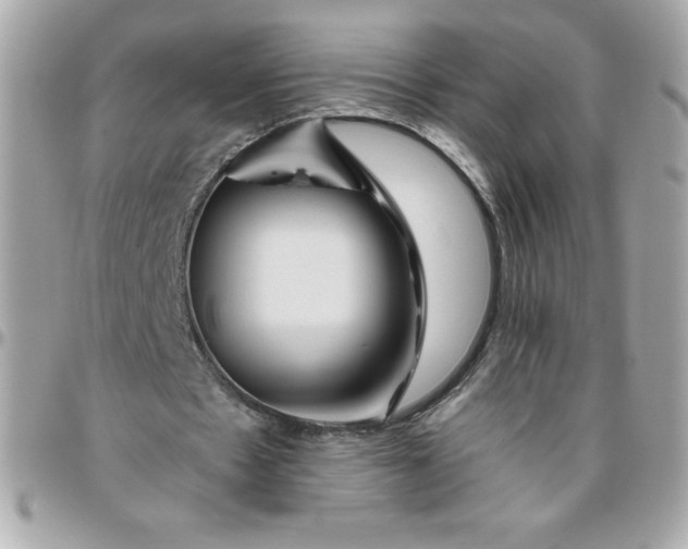 X0000096470481200802071900