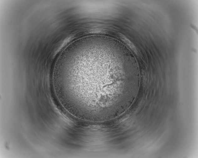 X0000096470482200802071900