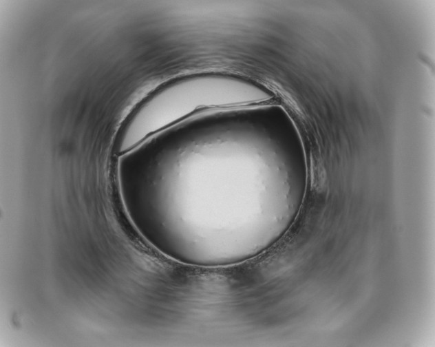 X0000096470483200802071900