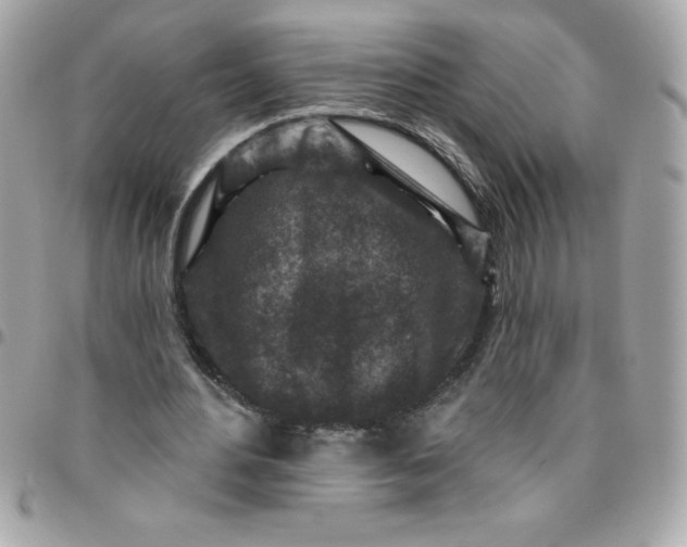 X0000096470484200802071900