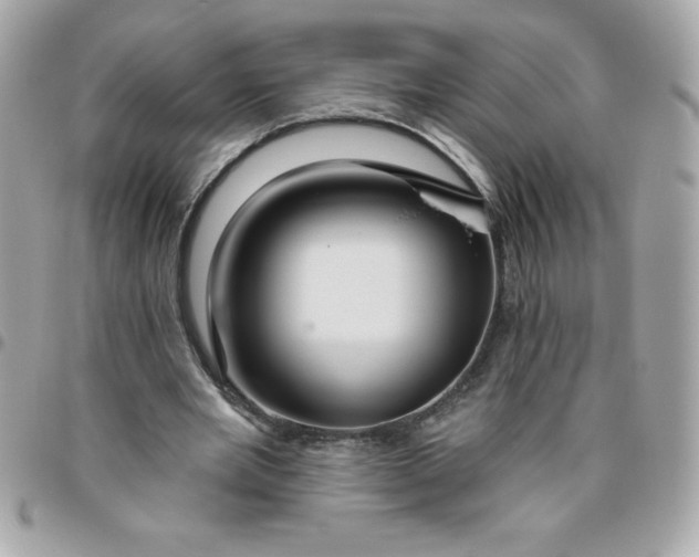 X0000096470485200802071900