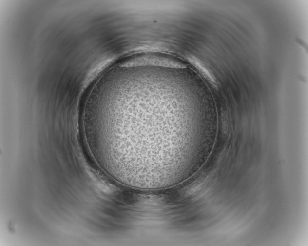 X0000096470486200802071900