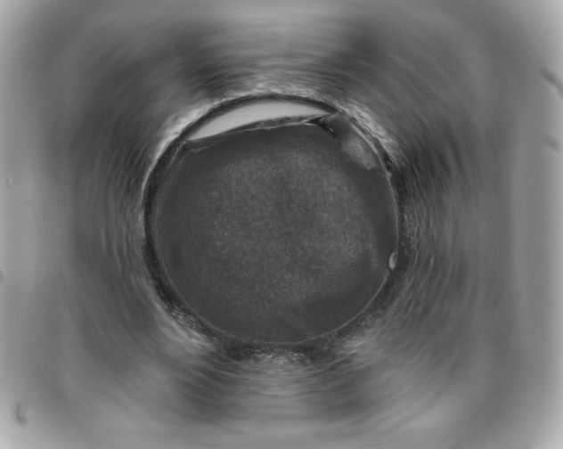 X0000096470488200802071900