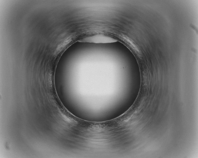 X0000096470489200802071900