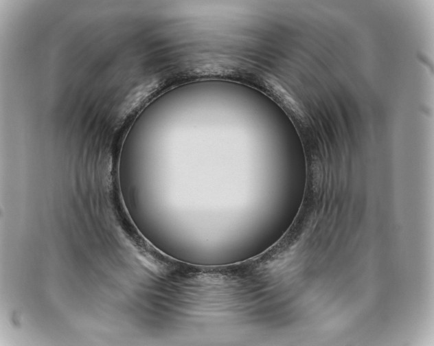 X0000096470490200802071900