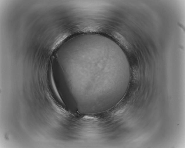 X0000096470491200802071900