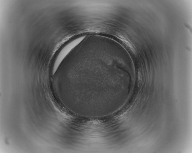 X0000096470492200802071900