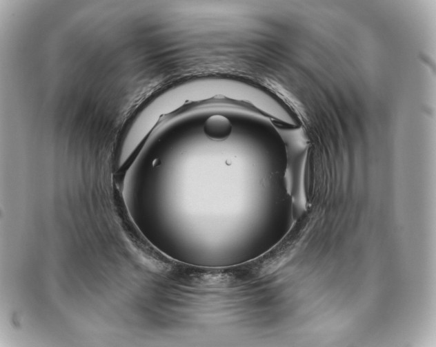 X0000096470493200802071900